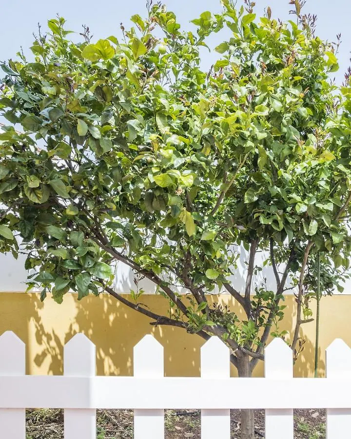 La Maison De La Lune By Canariasgetaway El Rincon  Villa